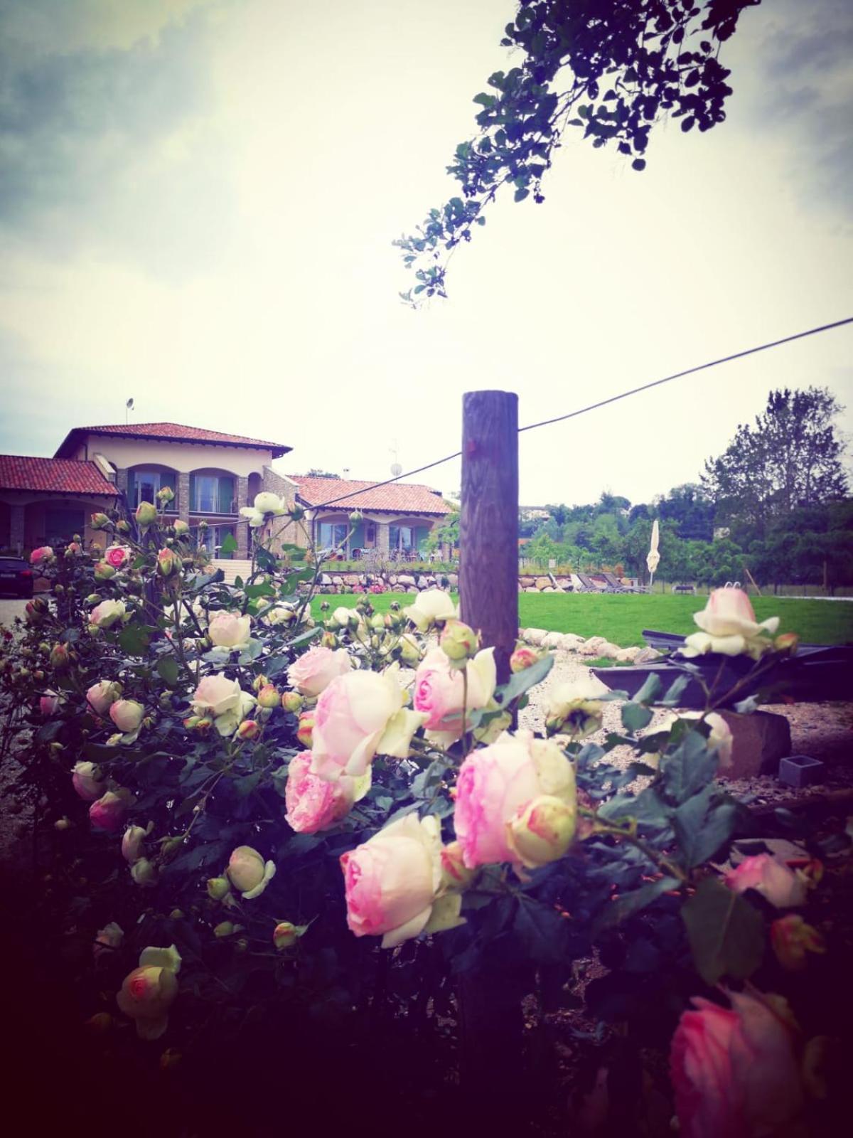Bed and Breakfast Orchidea Del Garda Peschiera del Garda Exteriér fotografie